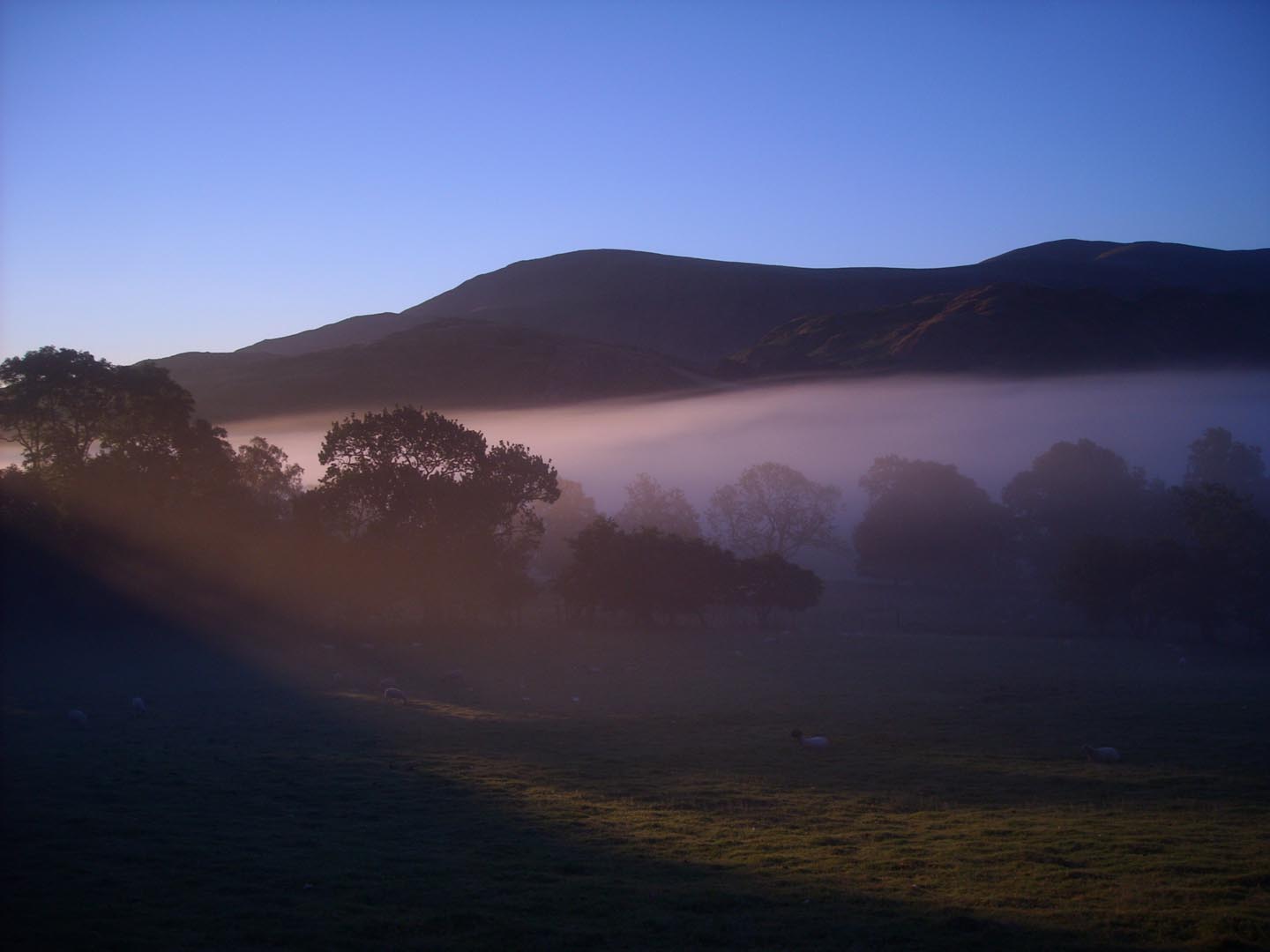 morning mist front of house clough head in backgroung