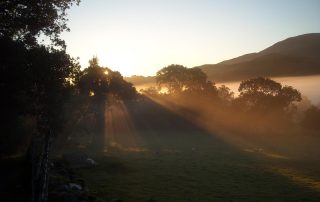 morning mist sun rise at Nest Barn