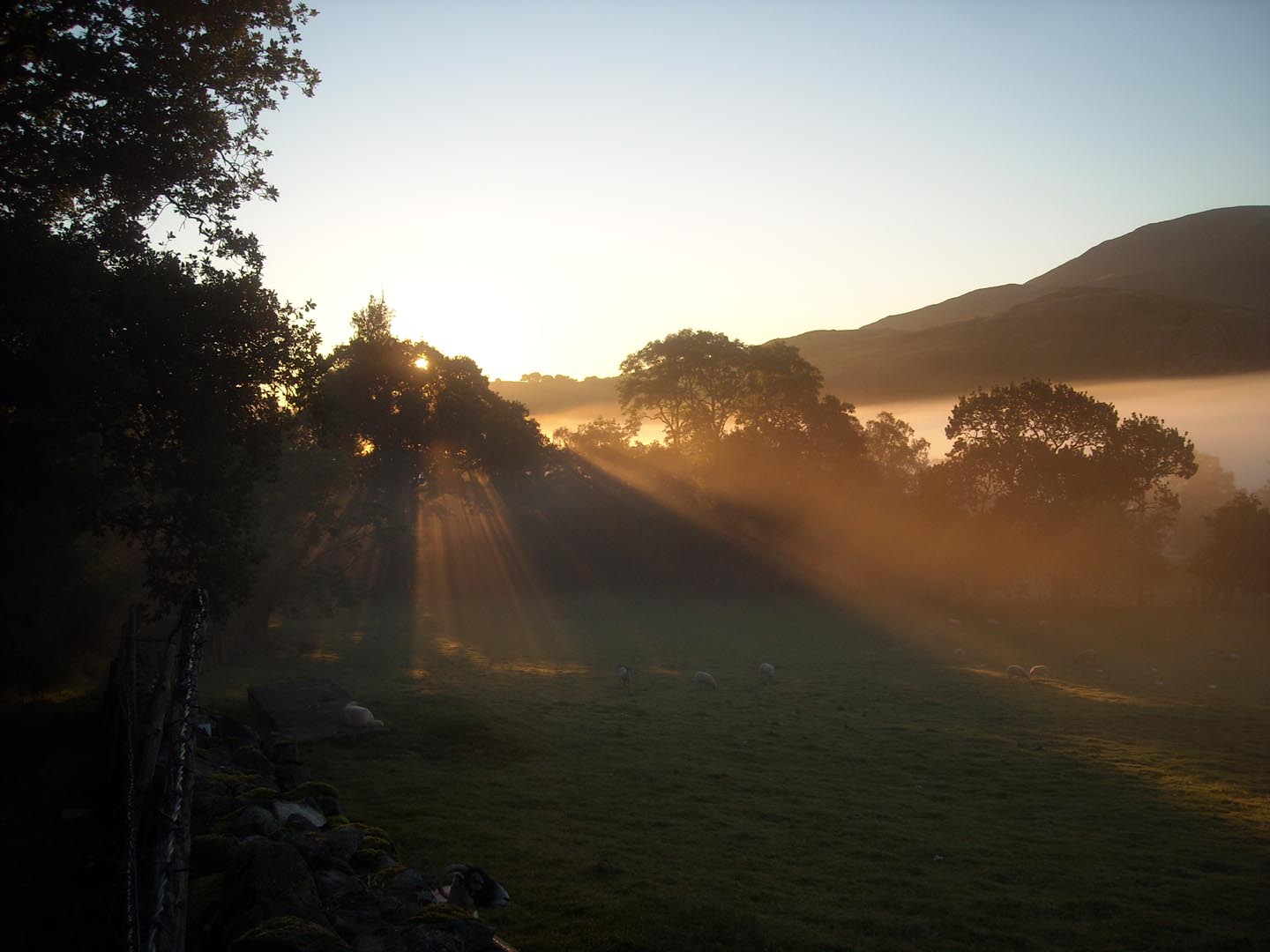 morning mist sun rise at Nest Barn