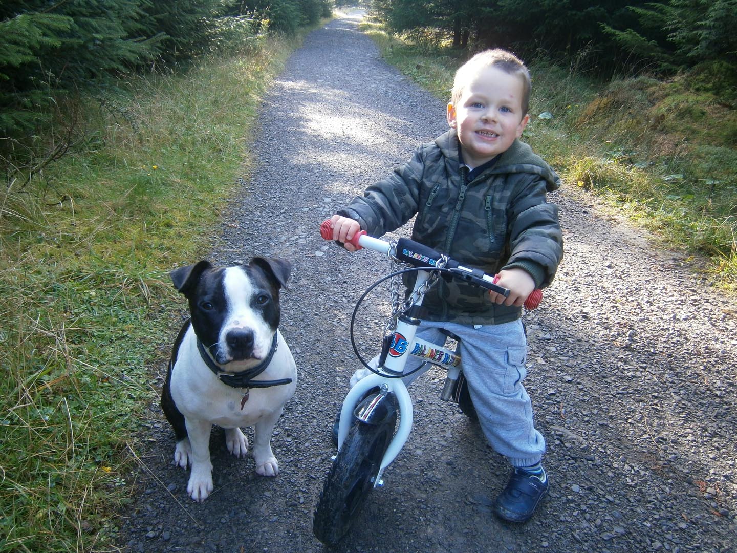 Family and dog friendly accommodation in the Lake District